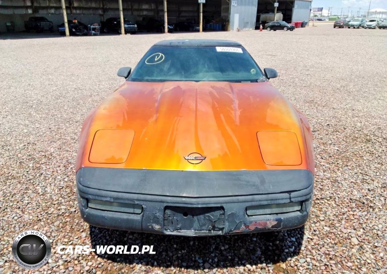 CHEVROLET CORVETTE VIN:1G1YY2386M5102364 - 5