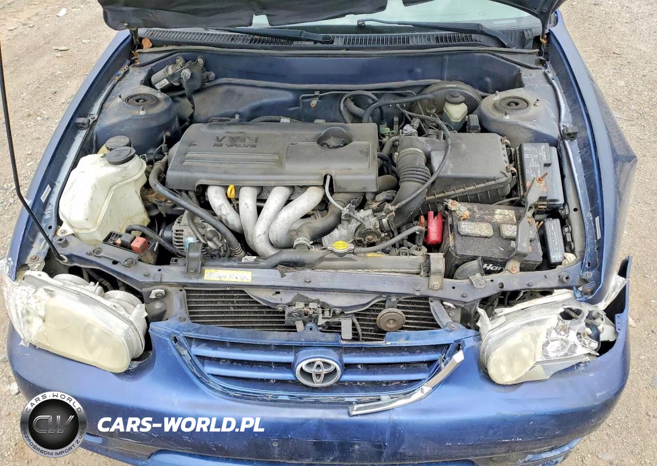 2001 Toyota Corolla VIN:1NXBR12E71Z473932 - 11
