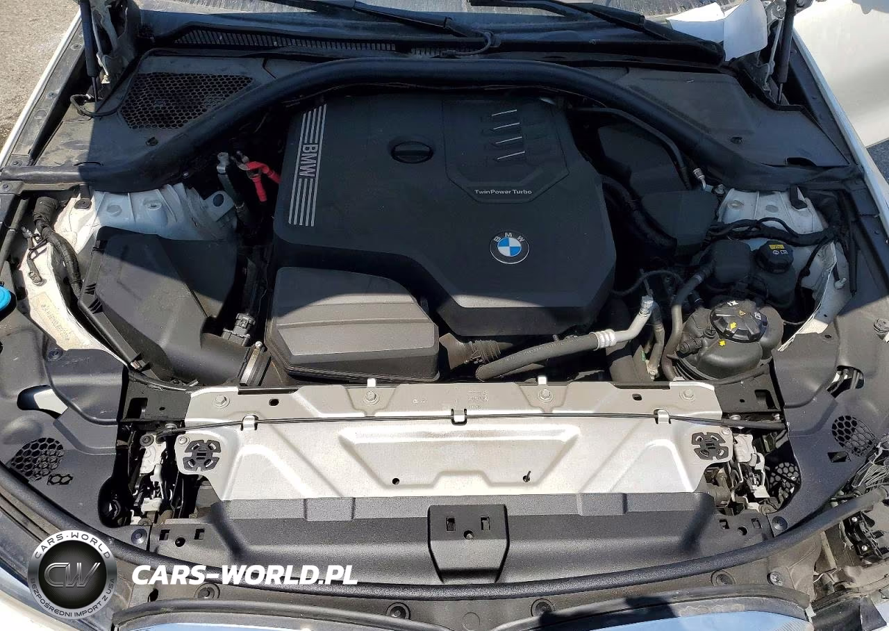 2020 BMW 330I VIN:3MW5R1J00L8B37009 - 11