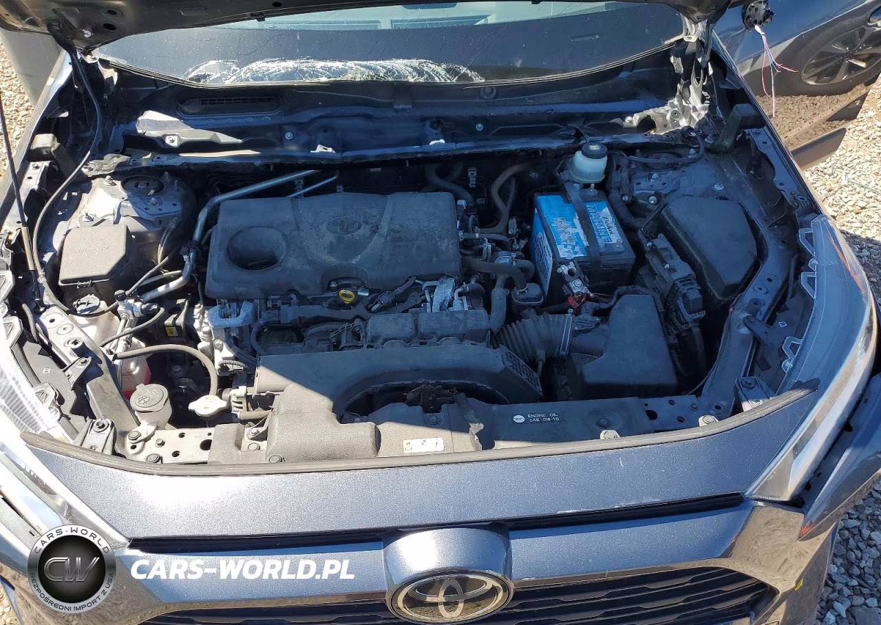 2019 Toyota Rav4 Xle VIN:JTMW1RFV1KD506933 - 12