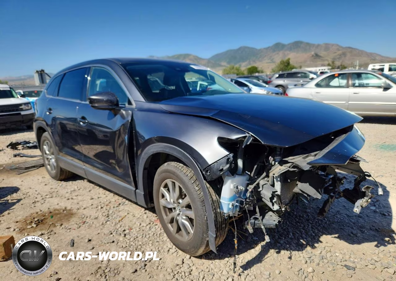 2019 Mazda Cx-9 Touring VIN:JM3TCBCYXK0328151 - 4