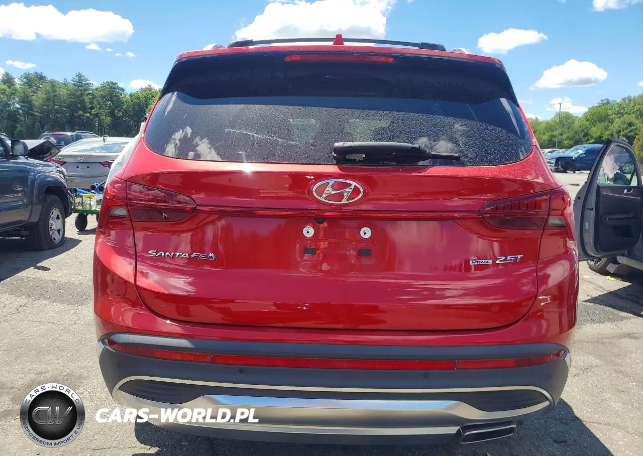 2021 Hyundai Santa Fe Limited VIN:5NMS4DAL0MH366088 - 6