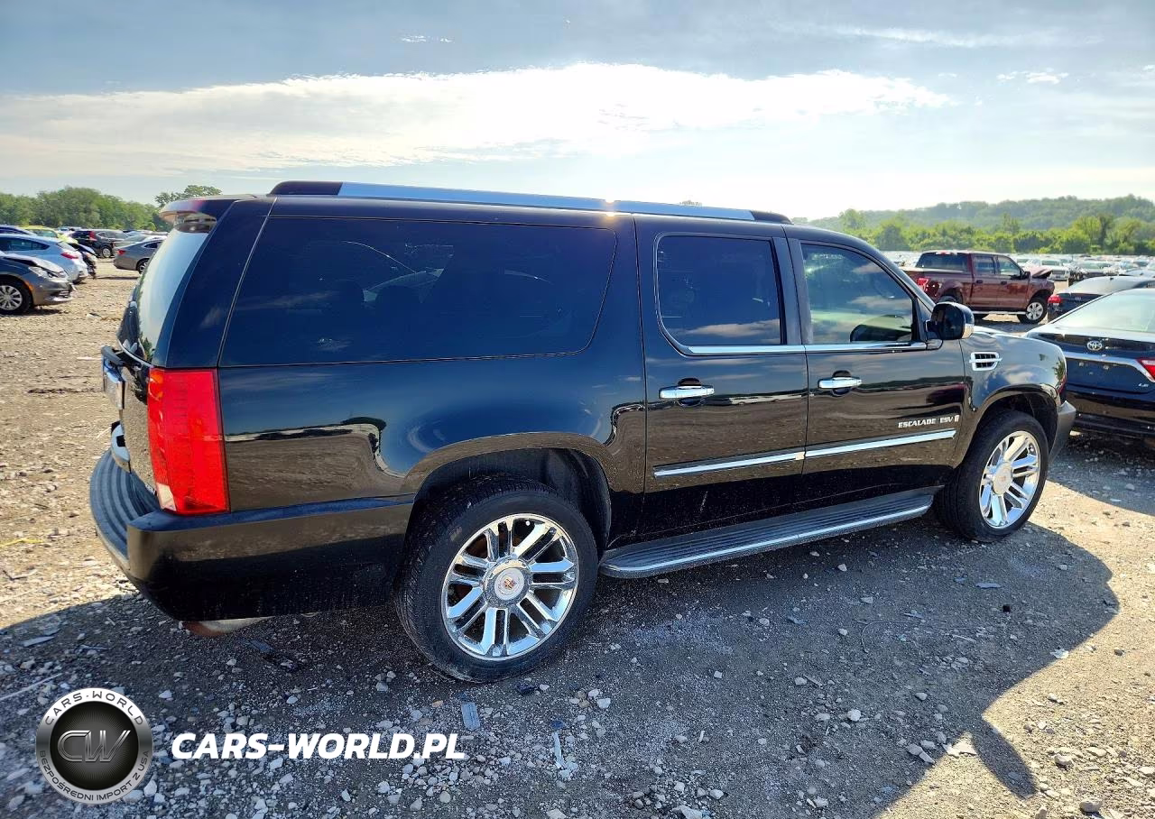 2009 Cadillac Escalade Esv Luxury VIN:1GYFK26299R113263 - 3