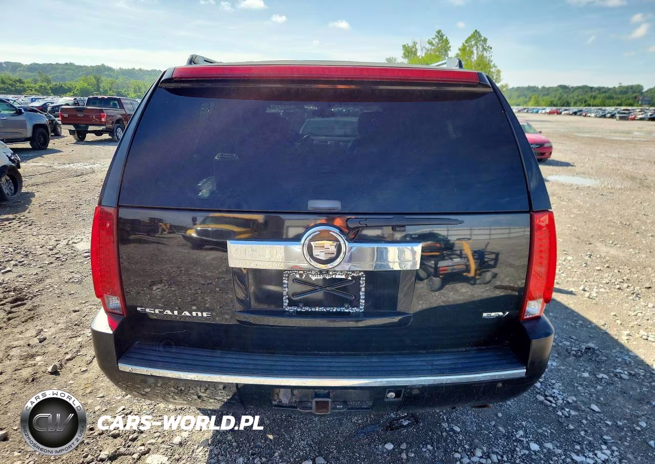 2009 Cadillac Escalade Esv Luxury VIN:1GYFK26299R113263 - 6