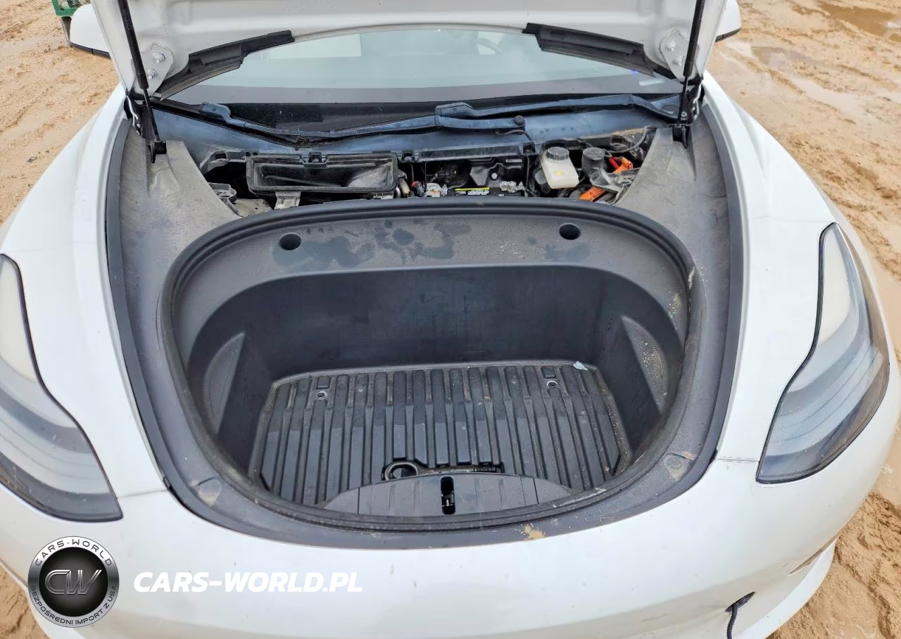 2021 Tesla Model 3 VIN:5YJ3E1ECXMF030816 - 11