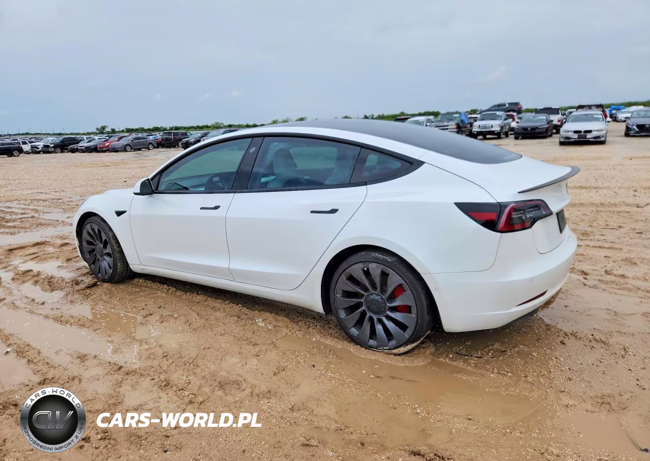 2021 Tesla Model 3 VIN:5YJ3E1ECXMF030816 - 2