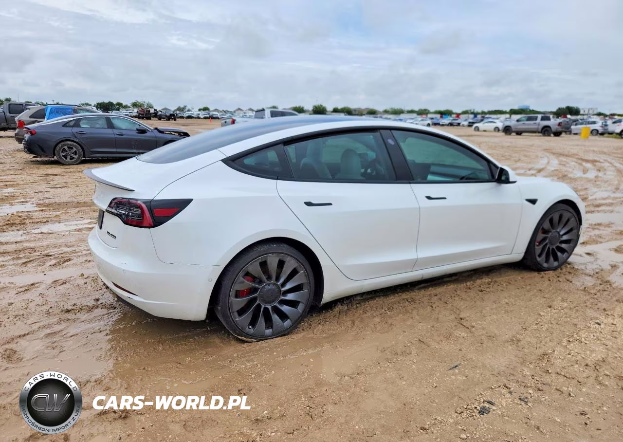 2021 Tesla Model 3 VIN:5YJ3E1ECXMF030816 - 3