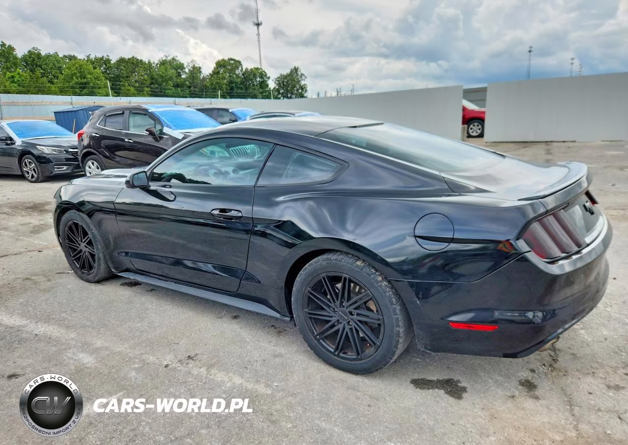 2017 Ford Mustang VIN:1FA6P8TH3H5306409 - 2