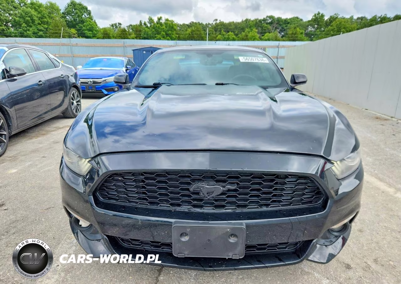 2017 Ford Mustang VIN:1FA6P8TH3H5306409 - 5