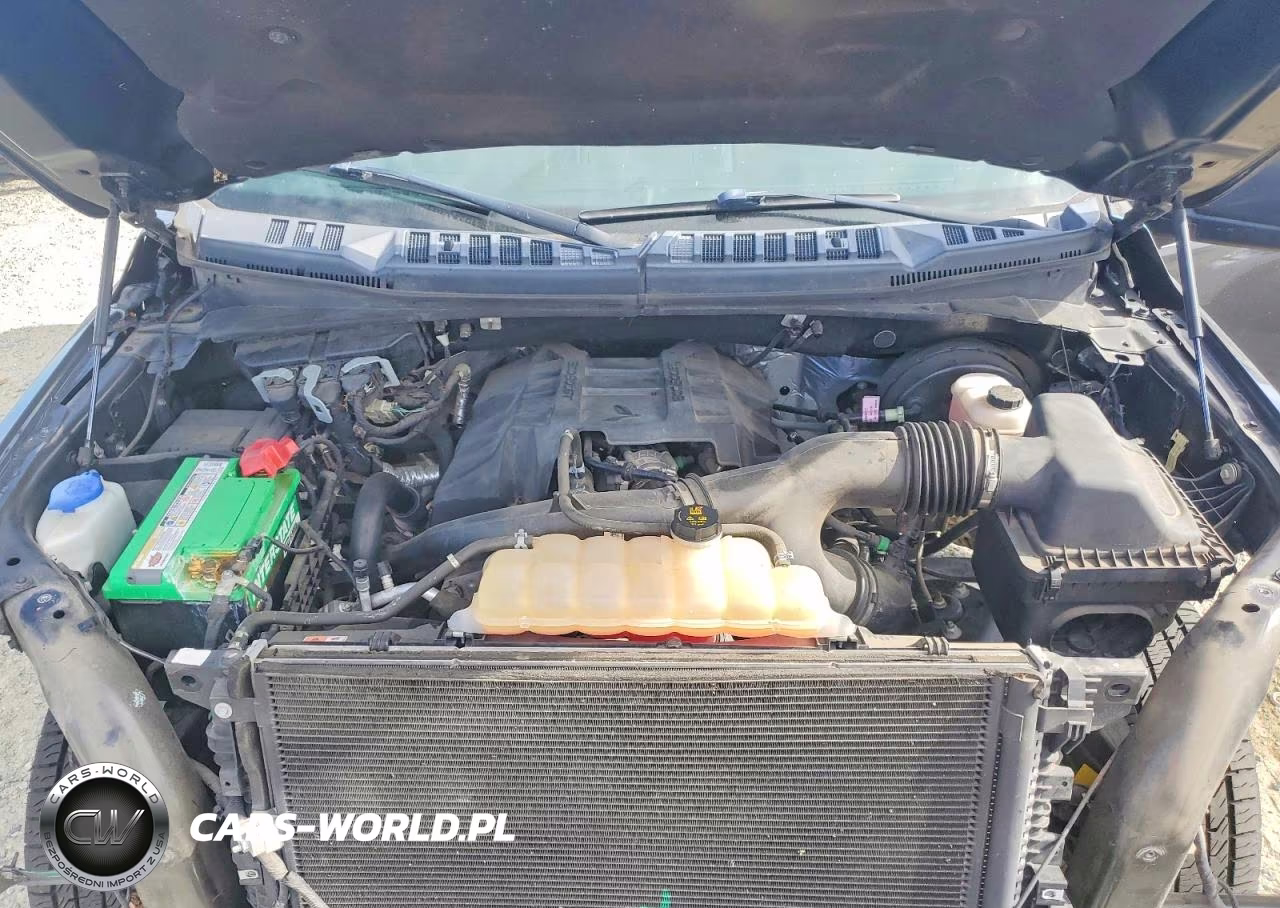 2018 Ford F150 Supercrew VIN:1FTEW1CP7JKD69477 - 11