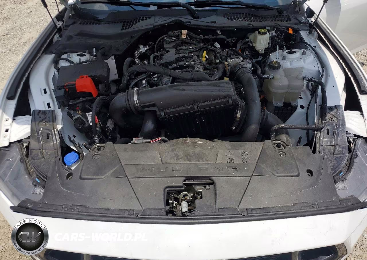 2024 Ford Mustang VIN:1FA6P8TH5R5120954 - 11