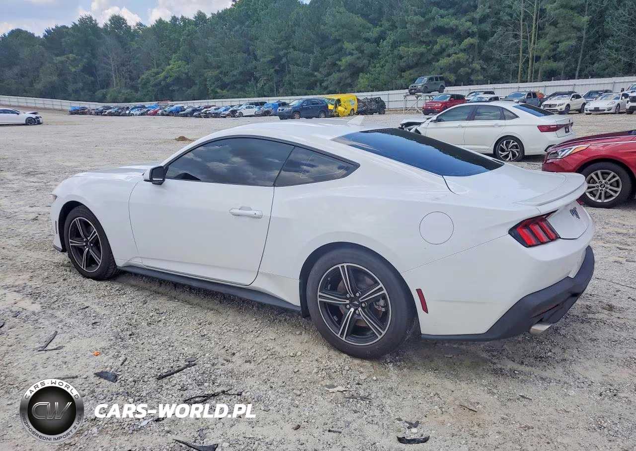 2024 Ford Mustang VIN:1FA6P8TH5R5120954 - 2