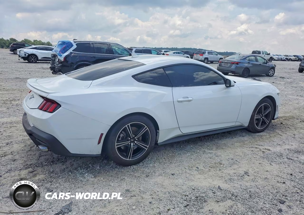 2024 Ford Mustang VIN:1FA6P8TH5R5120954 - 3