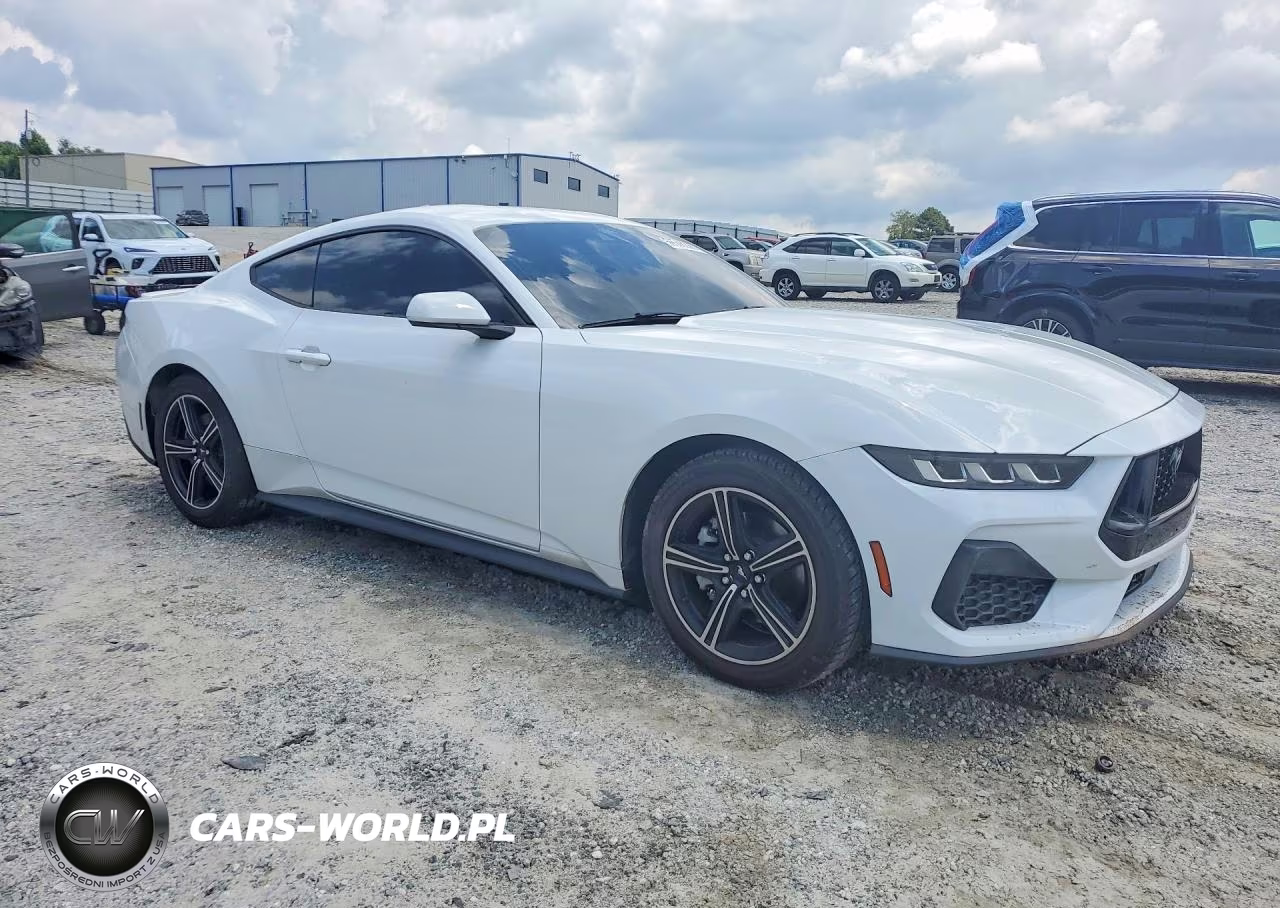 2024 Ford Mustang VIN:1FA6P8TH5R5120954 - 4