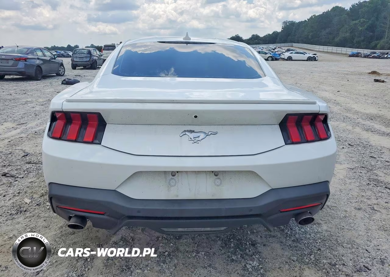 2024 Ford Mustang VIN:1FA6P8TH5R5120954 - 6