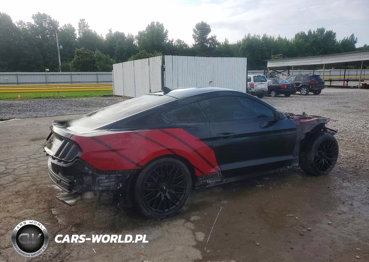 2021 Ford Mustang Gt VIN:1FA6P8CF5M5148440 - 3