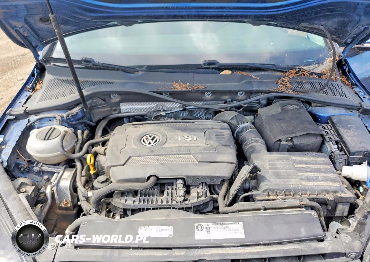 2016 Volkswagen Golf S VIN:3VW217AU0GM038364 - 11