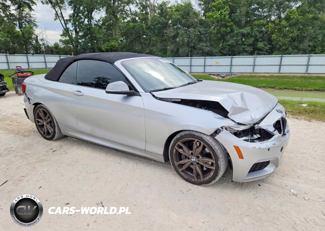 2016 BMW M235I VIN:WBA1M1C55GV393879 - 4