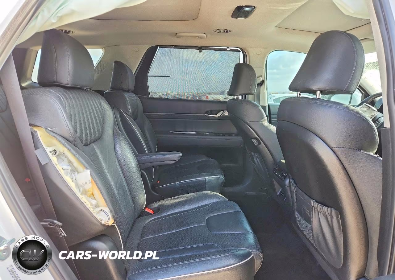 2023 Hyundai Palisade Limited VIN:KM8R54GE8PU618926 - 11