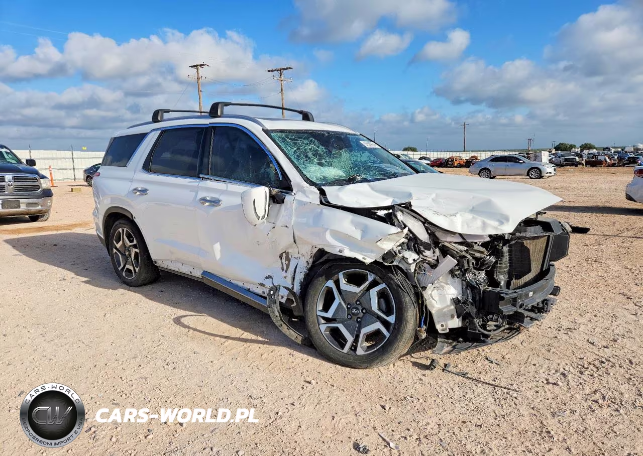 2023 Hyundai Palisade Limited VIN:KM8R54GE8PU618926 - 4
