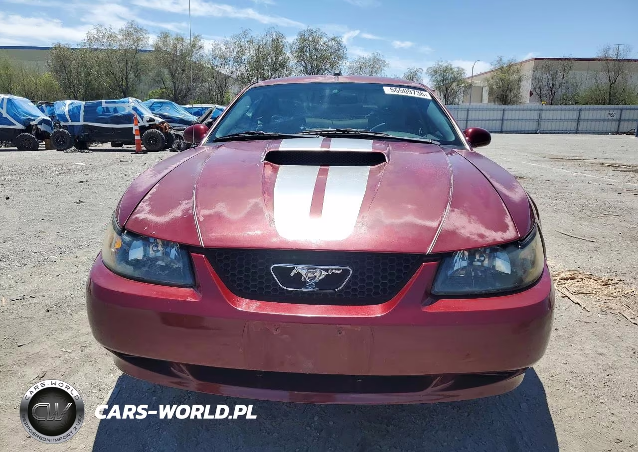2004 Ford Mustang VIN:1FAFP40414F113061 - 5
