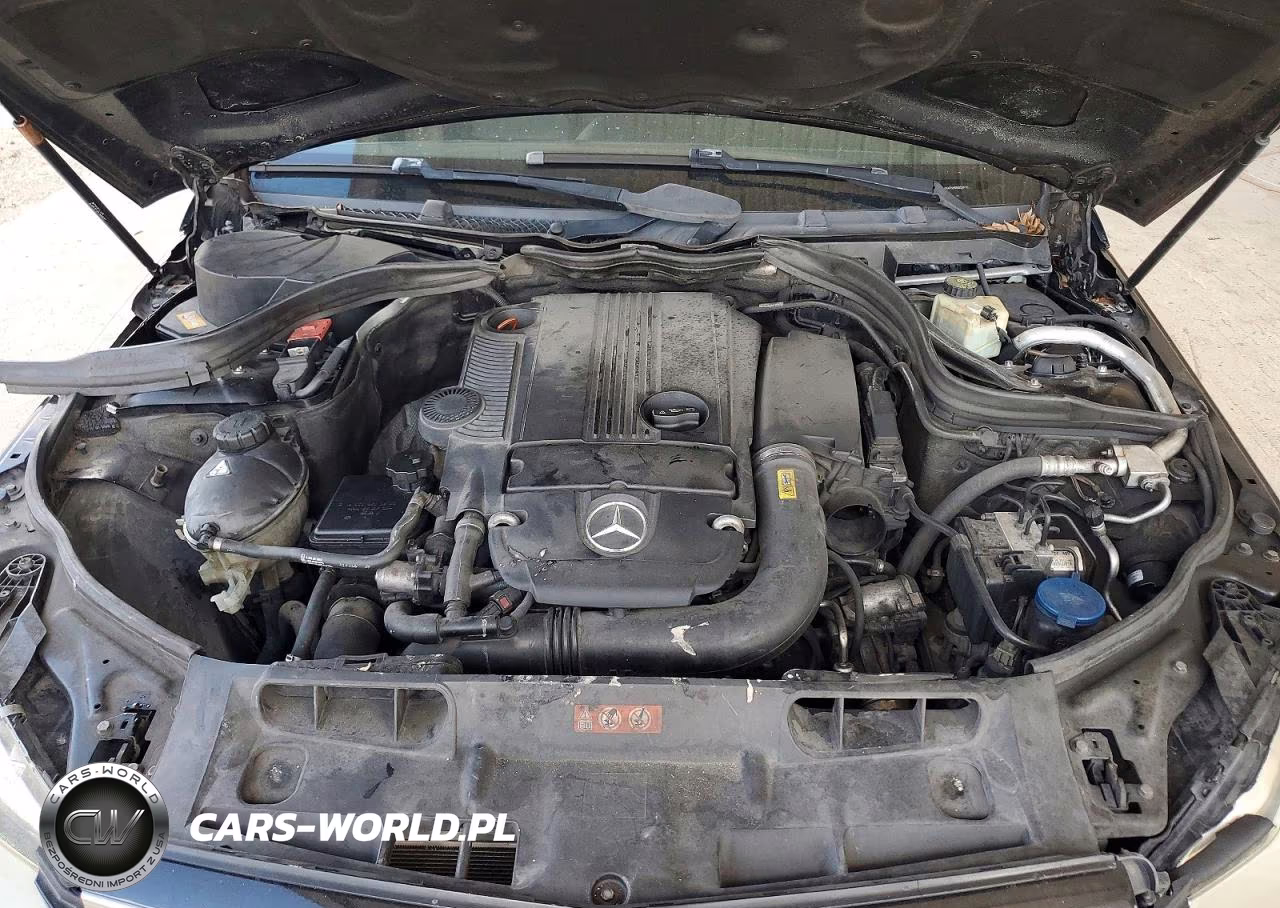 2014 Mercedes-Benz C 250 VIN:WDDGF4HB5EG253751 - 11