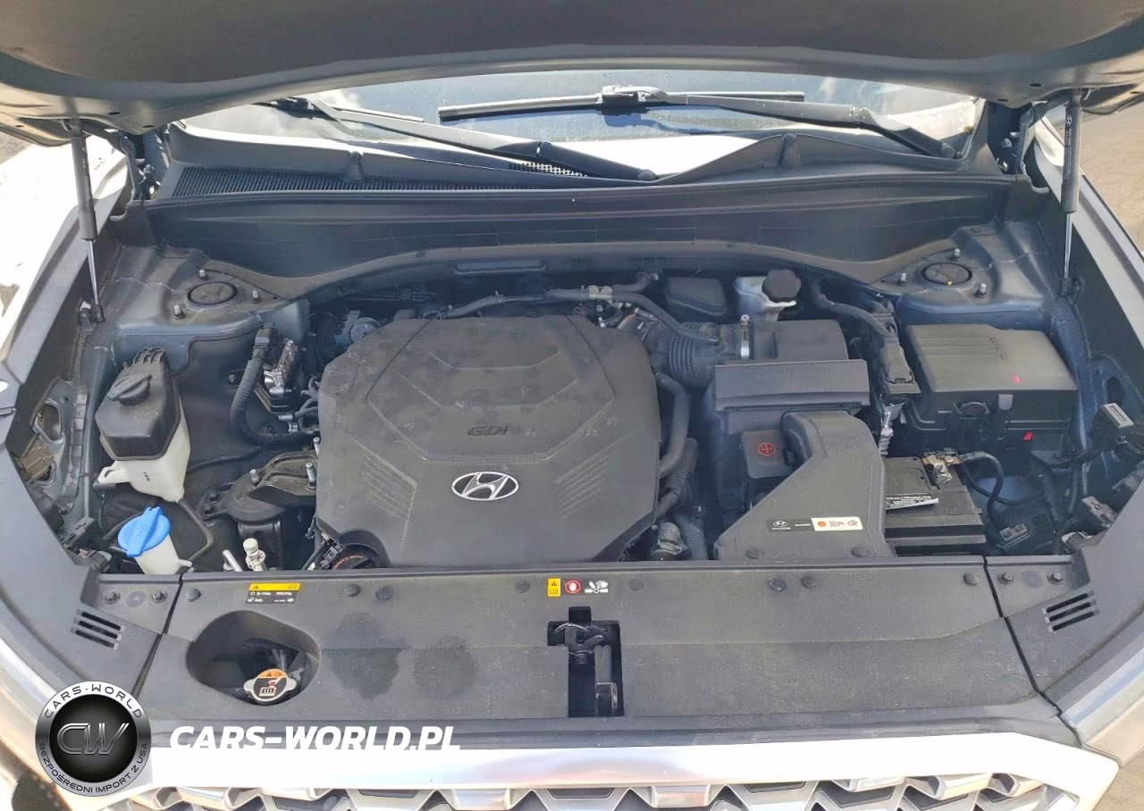 2020 Hyundai Palisade Sel VIN:KM8R24HE5LU068604 - 12