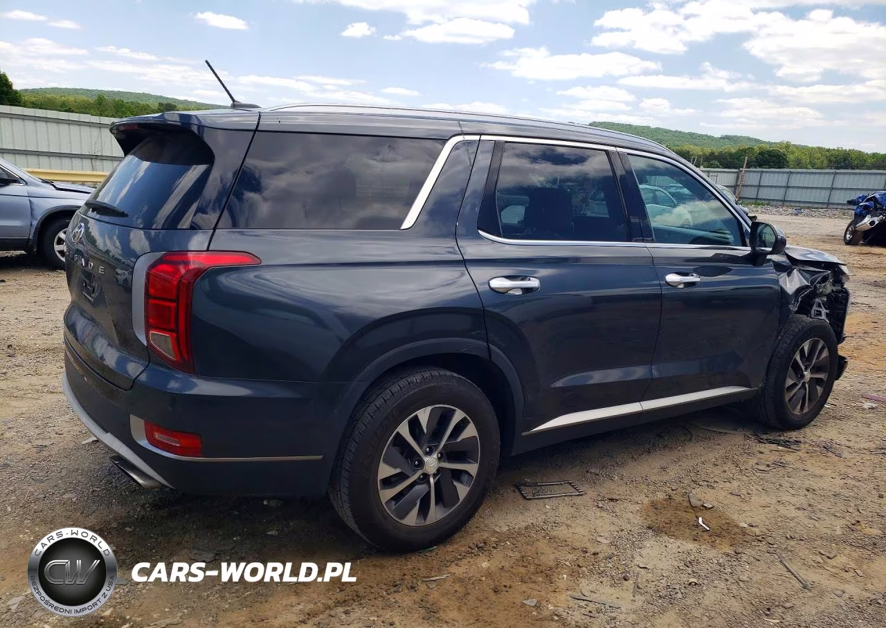 2020 Hyundai Palisade Sel VIN:KM8R24HE5LU068604 - 3
