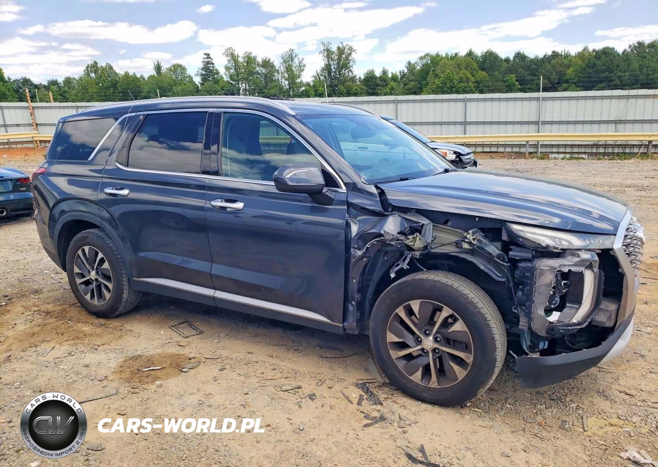 2020 Hyundai Palisade Sel VIN:KM8R24HE5LU068604 - 4