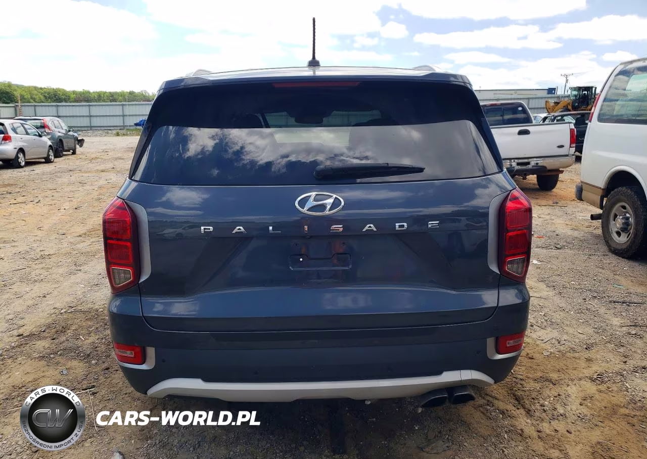 2020 Hyundai Palisade Sel VIN:KM8R24HE5LU068604 - 6