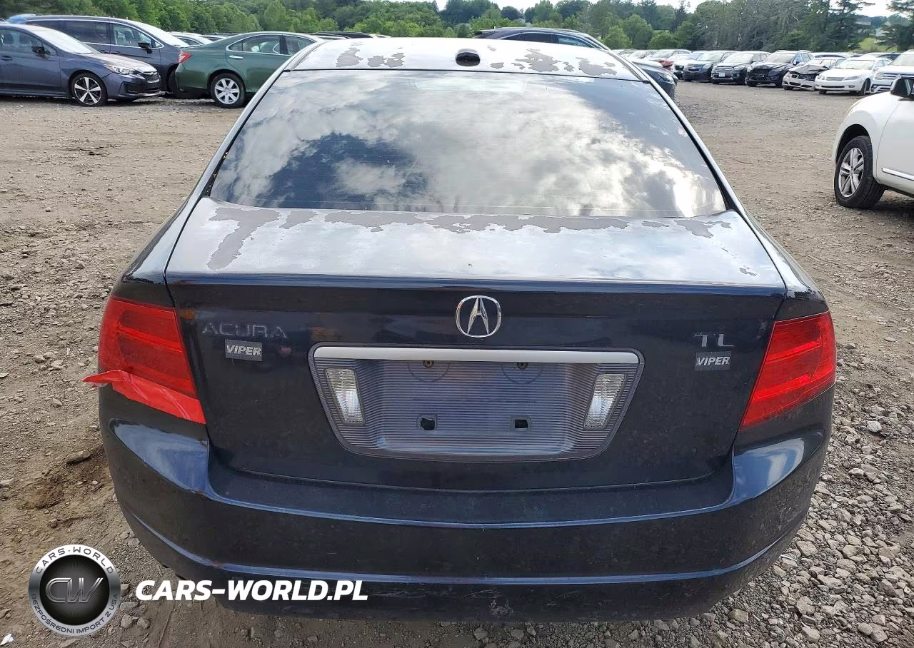 2006 Acura 3.2Tl VIN:19UUA66296A046554 - 6