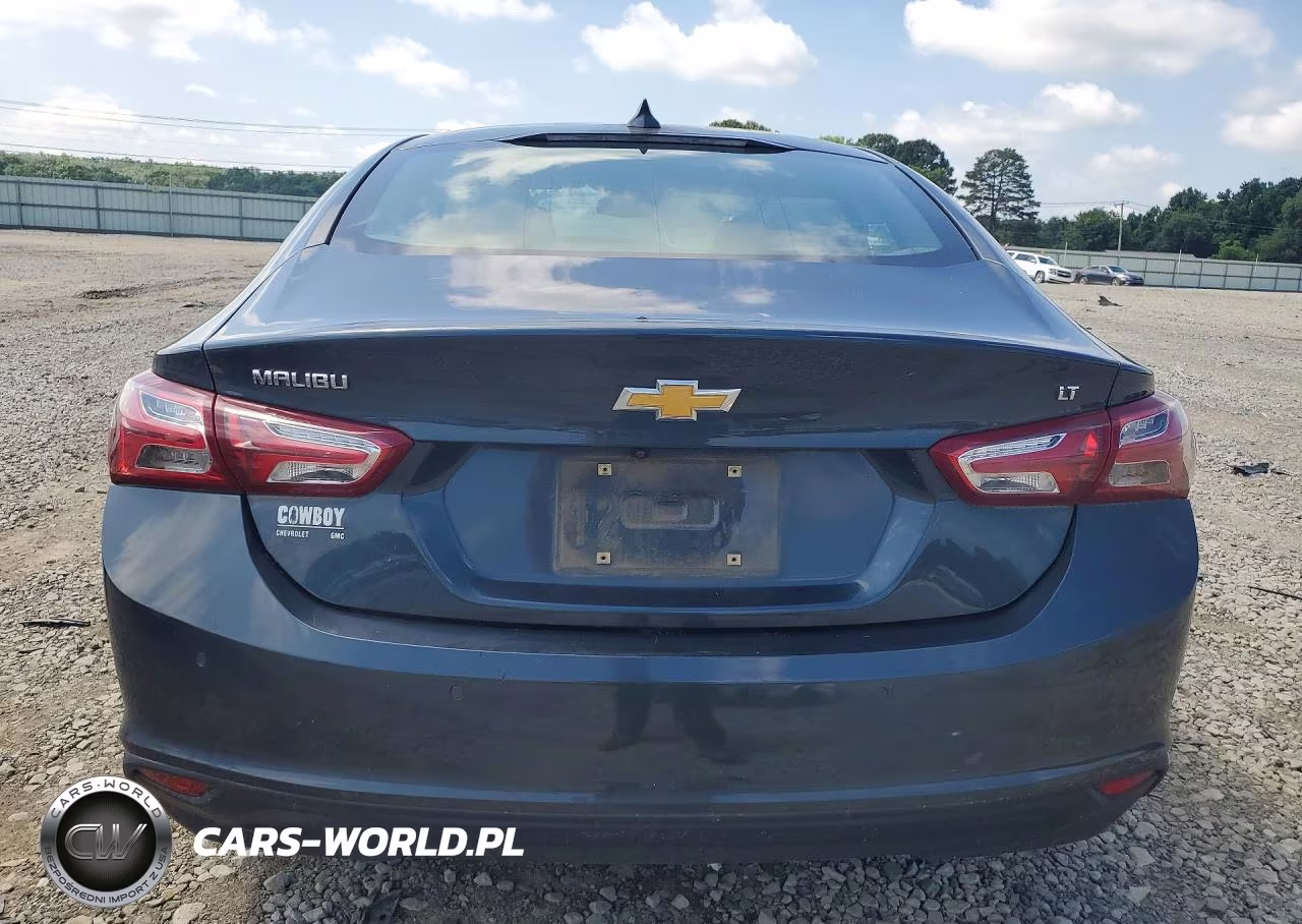 2019 Chevrolet Malibu Lt VIN:1G1ZD5ST8KF225727 - 6