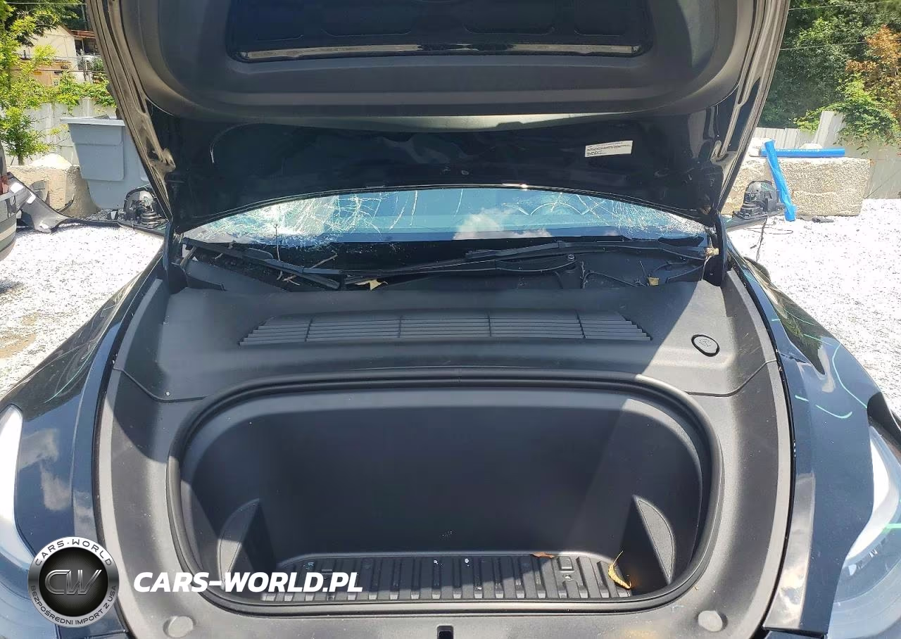 2023 Tesla Model Y VIN:7SAYGDEF2PF764305 - 11