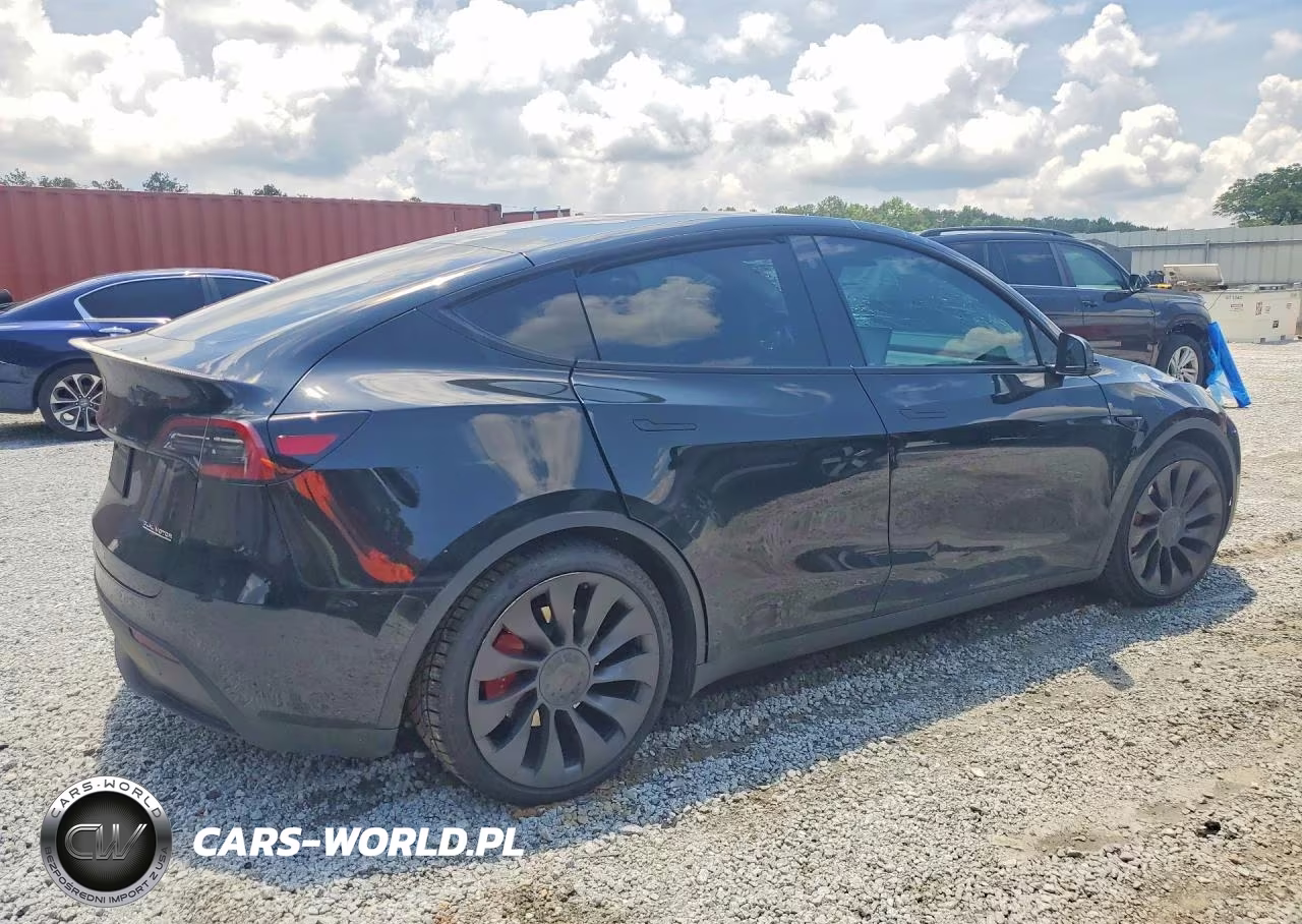 2023 Tesla Model Y VIN:7SAYGDEF2PF764305 - 3