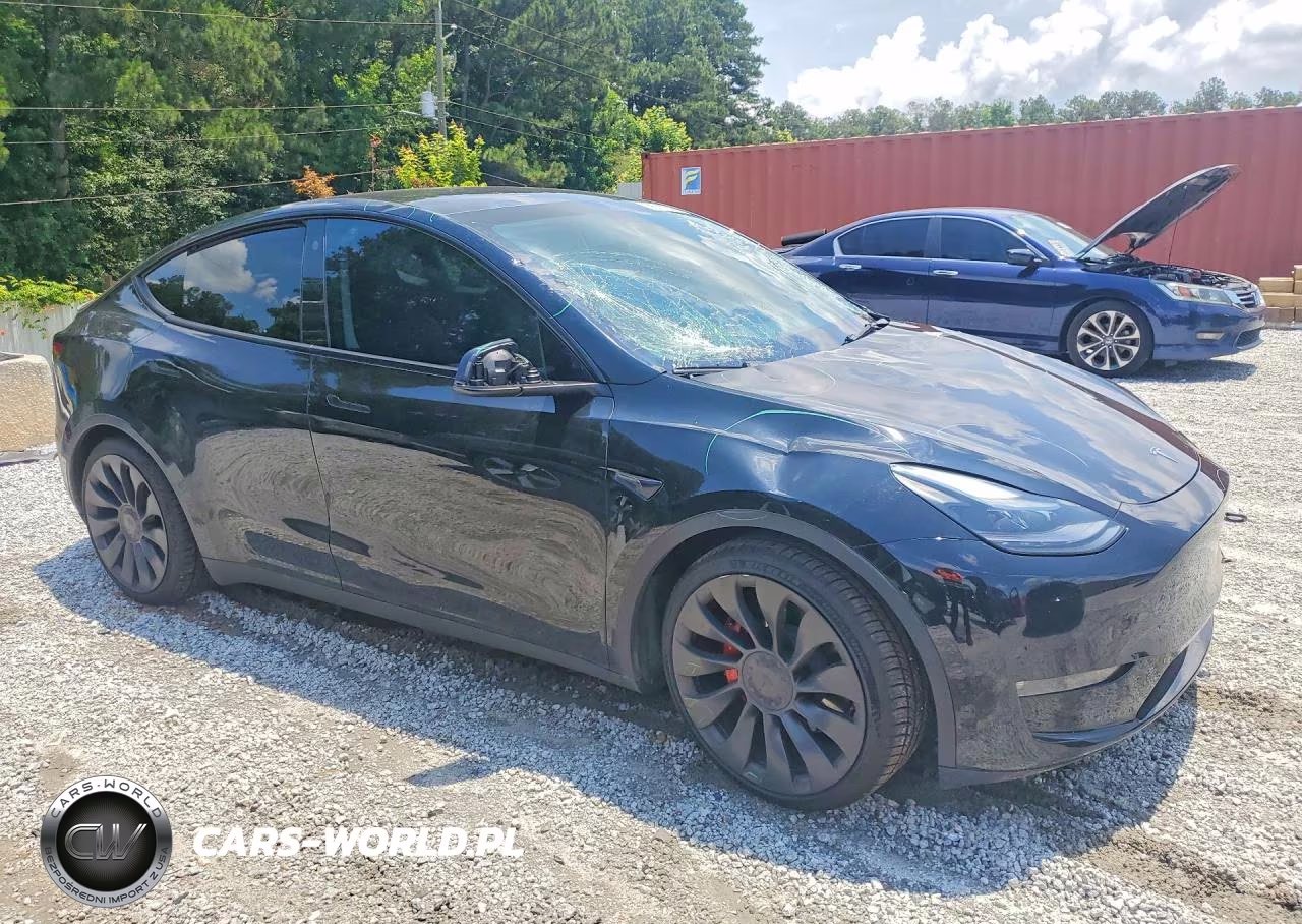 2023 Tesla Model Y VIN:7SAYGDEF2PF764305 - 4