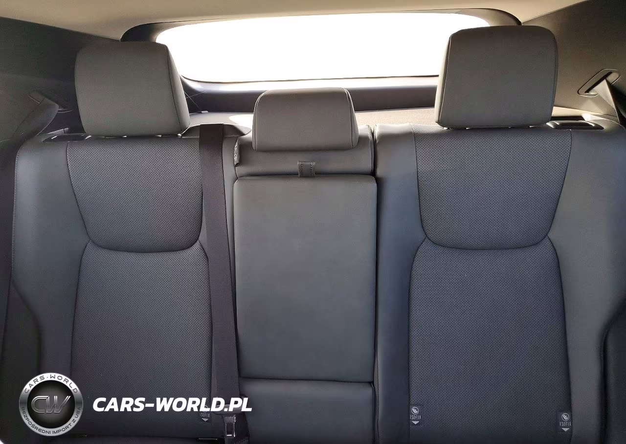 2025 Lexus Rz 300E VIN:JTJABABB4SA008728 - 10