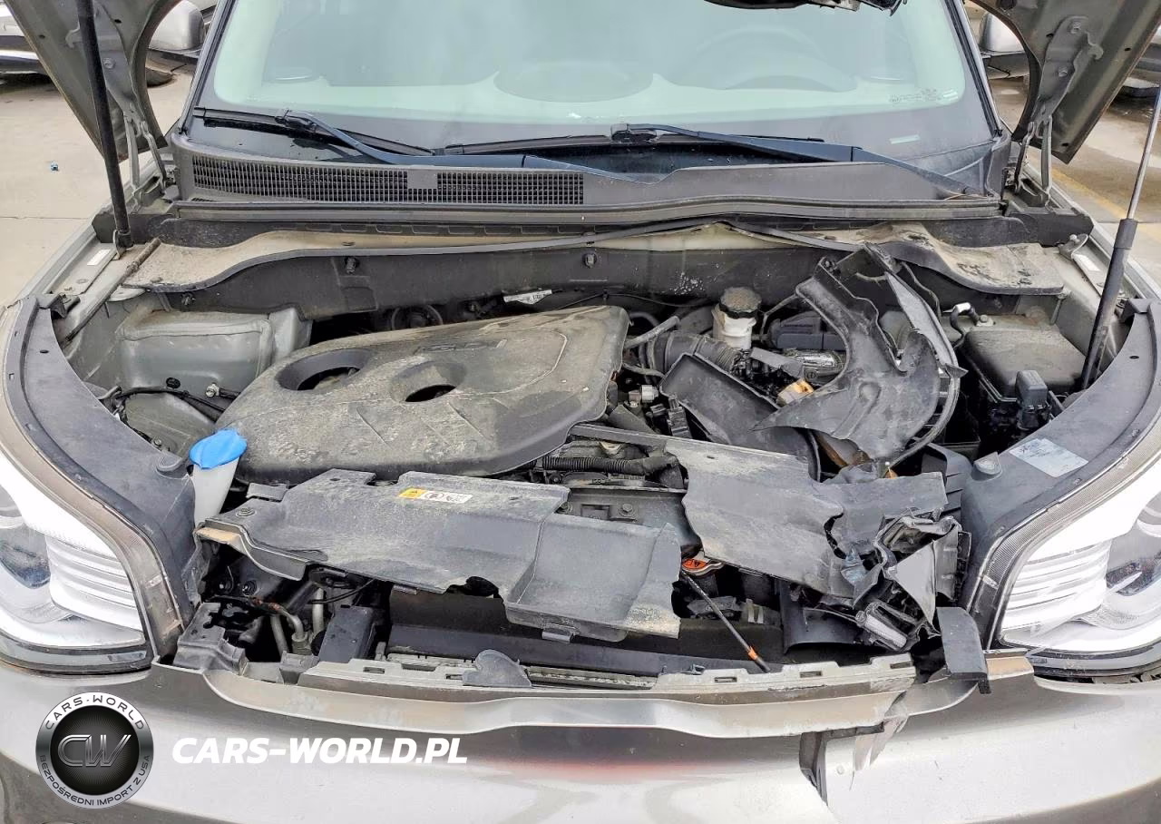 2019 Kia Soul + VIN:KNDJP3A52K7013564 - 12