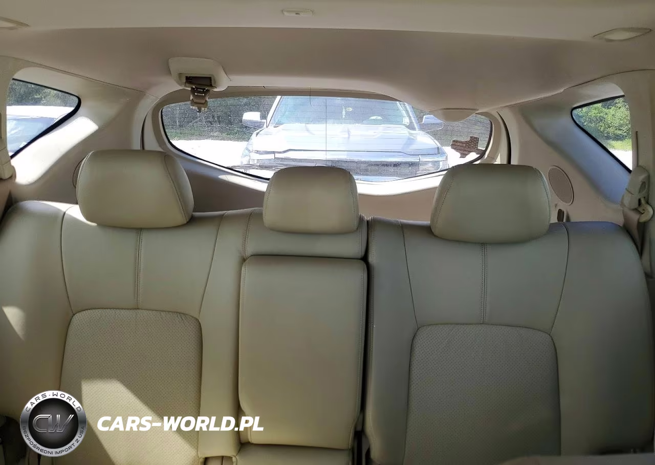 2009 Nissan Murano S VIN:JN8AZ18W49W132623 - 10