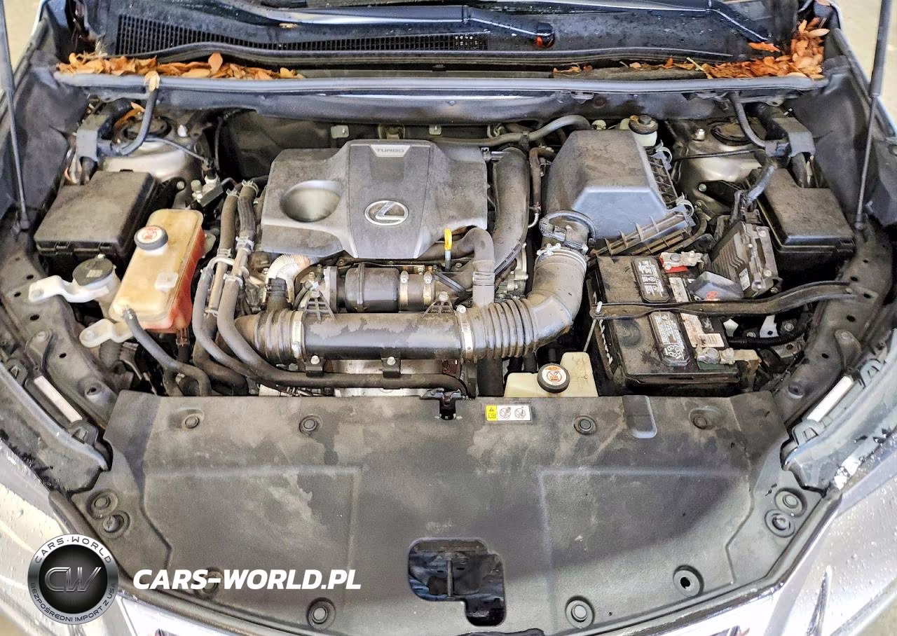 2019 Lexus Nx 300 Base VIN:JTJYARBZ2K2134769 - 12