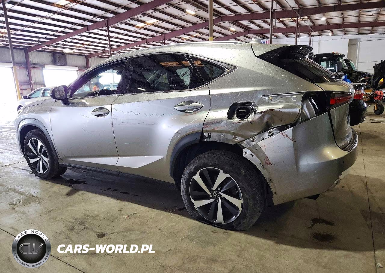 2019 Lexus Nx 300 Base VIN:JTJYARBZ2K2134769 - 2