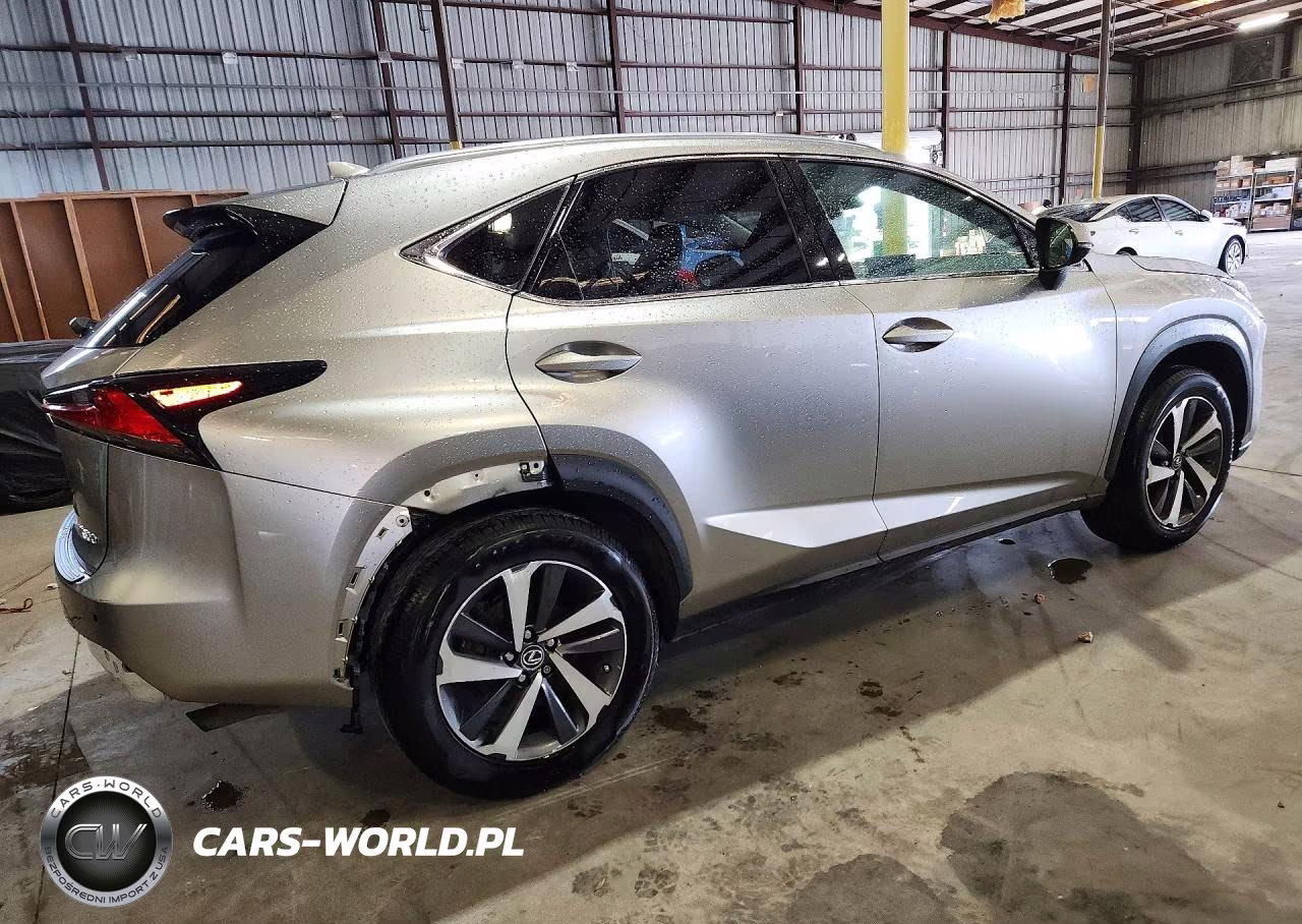 2019 Lexus Nx 300 Base VIN:JTJYARBZ2K2134769 - 3