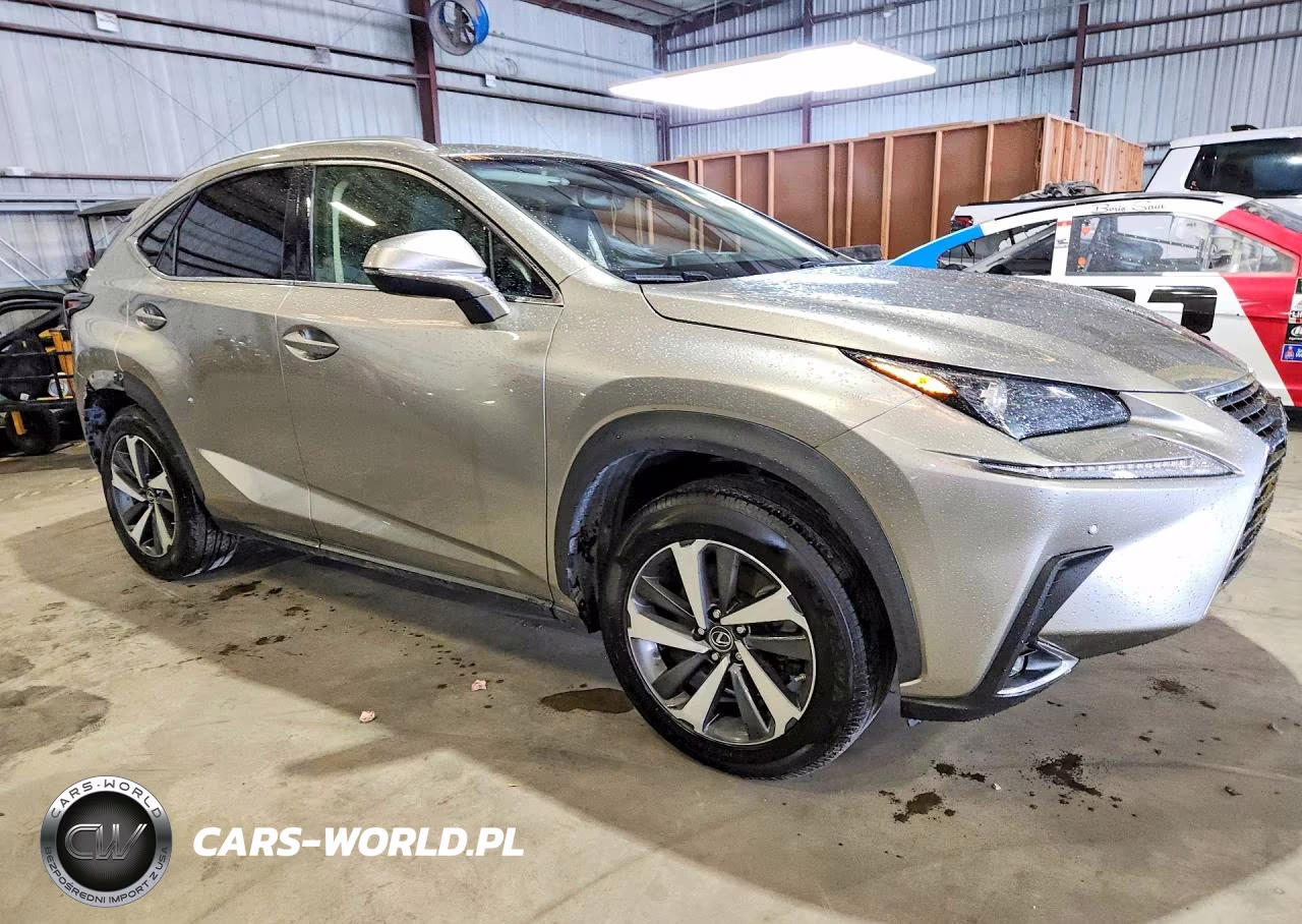 2019 Lexus Nx 300 Base VIN:JTJYARBZ2K2134769 - 4