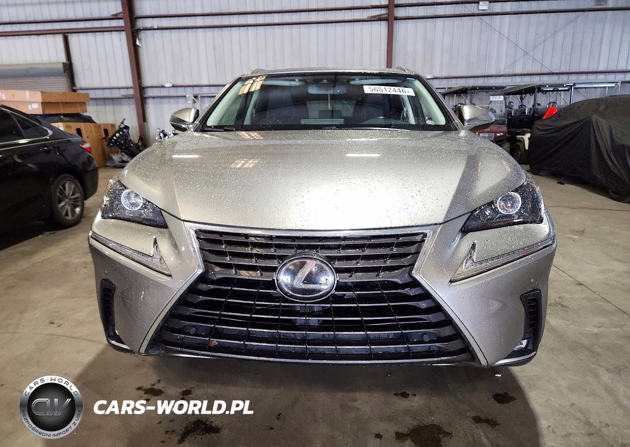 2019 Lexus Nx 300 Base VIN:JTJYARBZ2K2134769 - 5