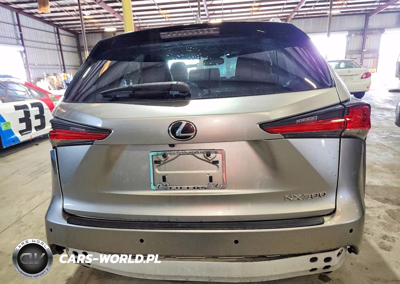 2019 Lexus Nx 300 Base VIN:JTJYARBZ2K2134769 - 6