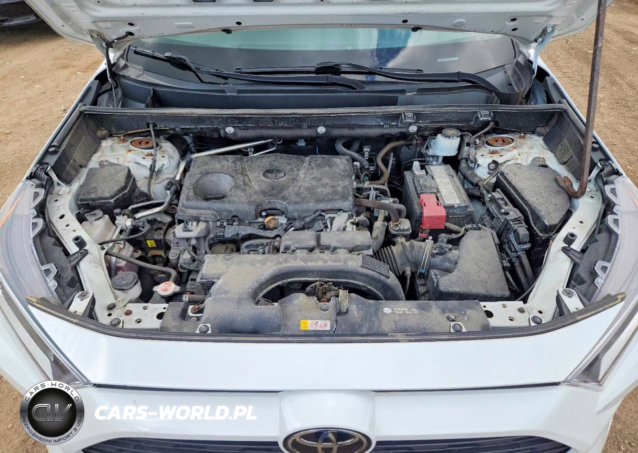 2019 Toyota Rav4 Xle VIN:2T3P1RFV6KC026914 - 12