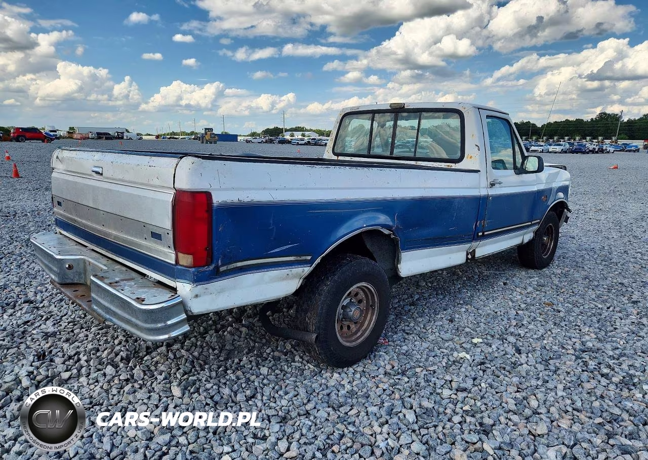 1993 Ford F150 VIN:2FTEF15N9PCA64829 - 3