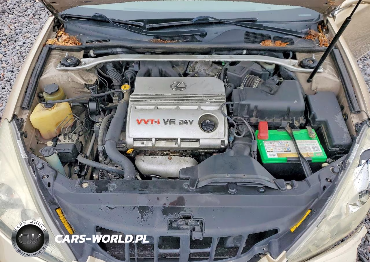 2003 Lexus Es 300 VIN:JTHBF30G136015161 - 11