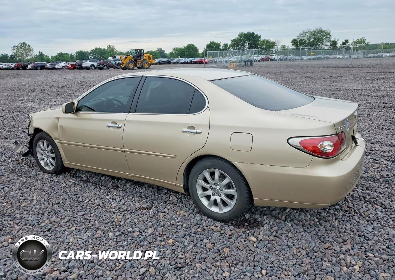 2003 Lexus Es 300 VIN:JTHBF30G136015161 - 2