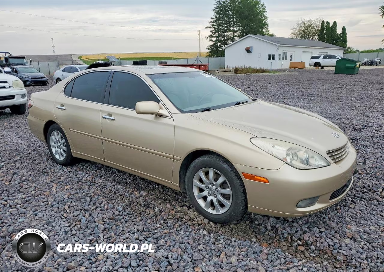 2003 Lexus Es 300 VIN:JTHBF30G136015161 - 4