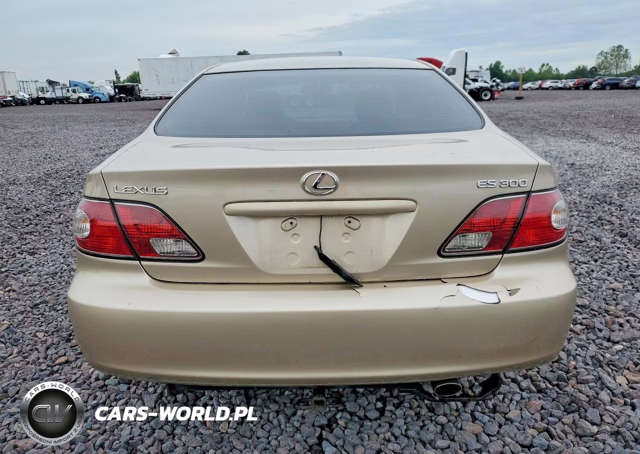 2003 Lexus Es 300 VIN:JTHBF30G136015161 - 6
